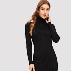 Ribbed High Neck Dress