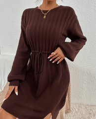 Brown Knit dress