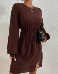 Brown Knit dress