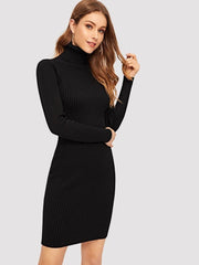 Ribbed High Neck Dress