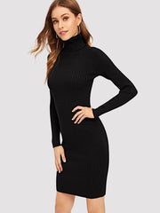 Ribbed High Neck Dress